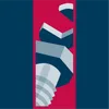 Logo van De Ruiter