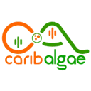 Logo van CaribAlgae