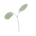 Logo van puur buiten