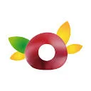 Logo Fruitlife