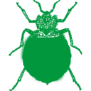 Logo van Italiaander BV