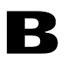 Logo van BNT Beveiligingen