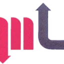 Logo van ML SUPPORT