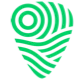 Logo van Festival Travel