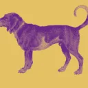 Logo van FlevosWeelde