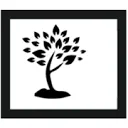 Logo Bucare Consultancy