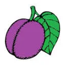 Logo van Voeding AND Z