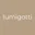 Logo van lumigatti
