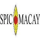 Logo SPIC MACAY Europe AND UK