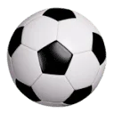 Logo van Vereniging Fysiotherapeuten Betaald Voetbal