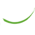 Logo van Balance Recruitment Dutch Caribbean