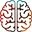 Logo van Healthy Brain Study