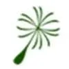 Logo van Aurelia cg