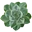 Logo van OVATA by nature