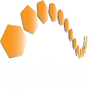 Logo van FysioNesse