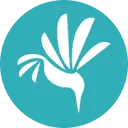 Logo Kingfishers