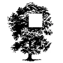 Logo van Qrcus