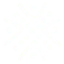 Logo van Lilly Pilly