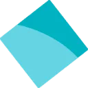 Logo van Stichting Dravetsyndroom Nederland/Vlaanderen