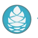 Logo van Active Health Foundation
