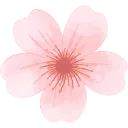 Logo van The Bridal Blush